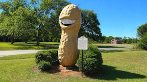 Roadside Image